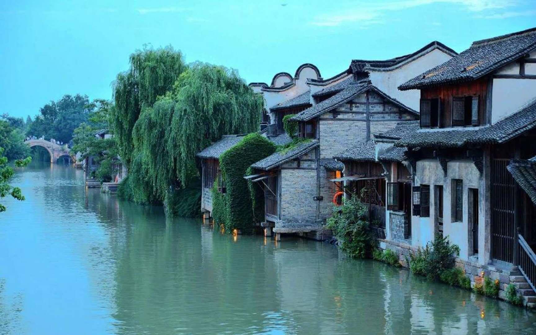 三大油脂集体飘红，反弹行情能否延续？
