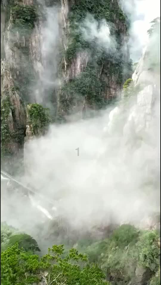 为什么那么多人买日本车,日本车究竟好在哪里?-专业问答平台